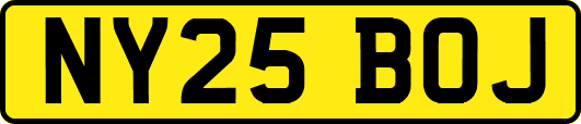 NY25BOJ