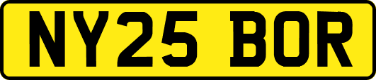NY25BOR