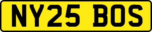NY25BOS
