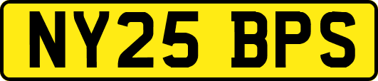 NY25BPS