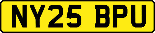 NY25BPU