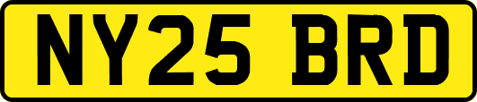 NY25BRD