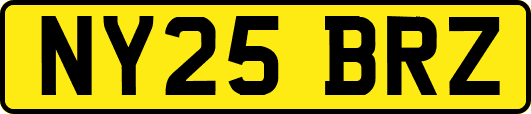 NY25BRZ