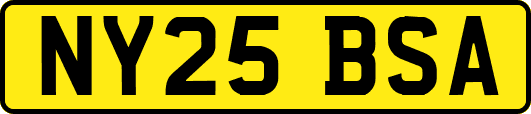 NY25BSA
