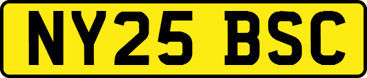 NY25BSC