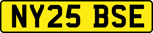 NY25BSE