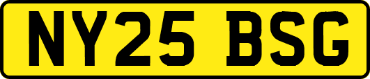 NY25BSG