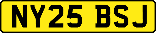 NY25BSJ