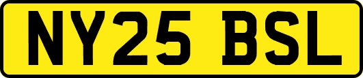 NY25BSL