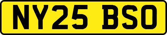 NY25BSO