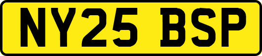 NY25BSP