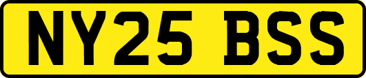 NY25BSS