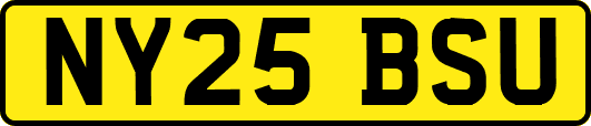 NY25BSU