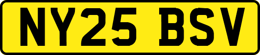NY25BSV