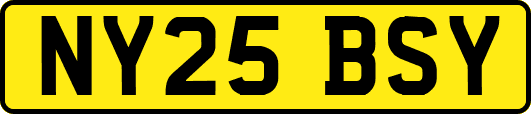 NY25BSY
