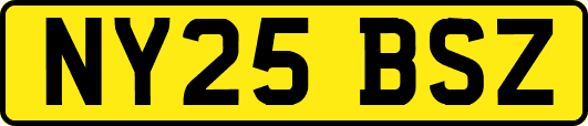 NY25BSZ