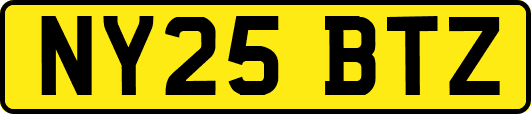 NY25BTZ