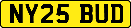 NY25BUD