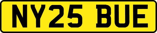 NY25BUE