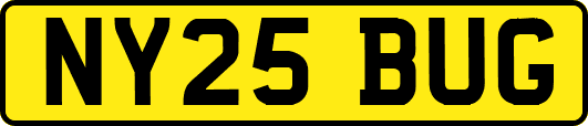 NY25BUG
