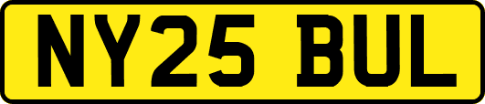 NY25BUL