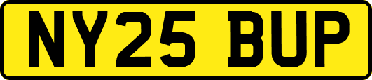 NY25BUP