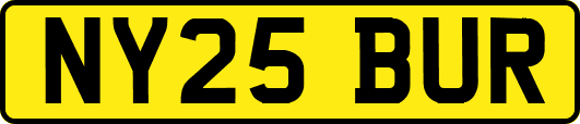 NY25BUR
