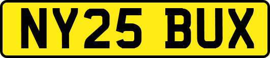 NY25BUX