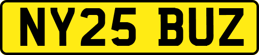 NY25BUZ