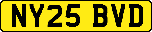NY25BVD