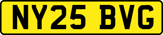 NY25BVG