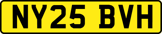 NY25BVH