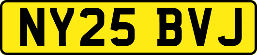 NY25BVJ