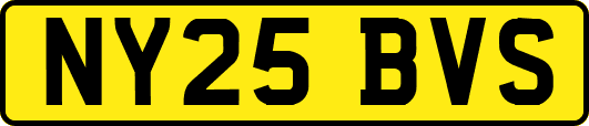 NY25BVS