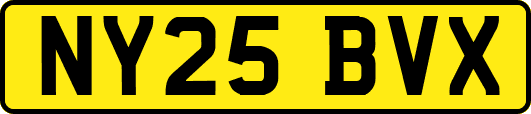 NY25BVX
