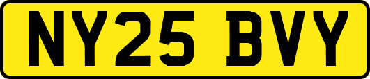 NY25BVY