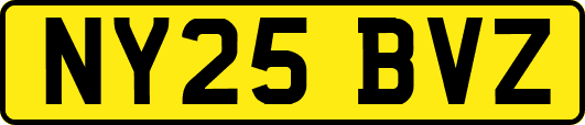 NY25BVZ