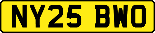NY25BWO