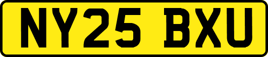 NY25BXU