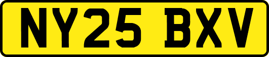 NY25BXV