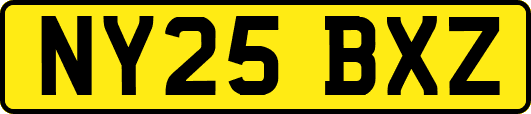 NY25BXZ