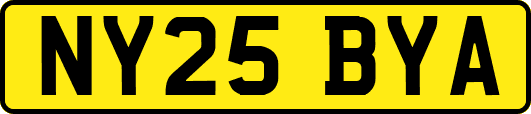 NY25BYA
