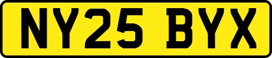 NY25BYX