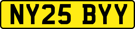 NY25BYY