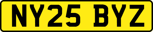 NY25BYZ