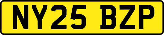 NY25BZP