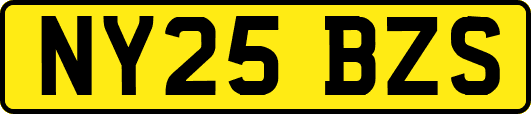 NY25BZS