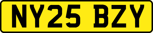 NY25BZY