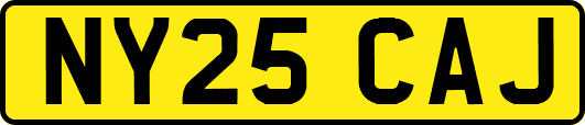 NY25CAJ