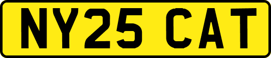NY25CAT